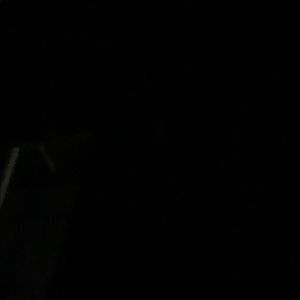 Meet your Posher, Rylee